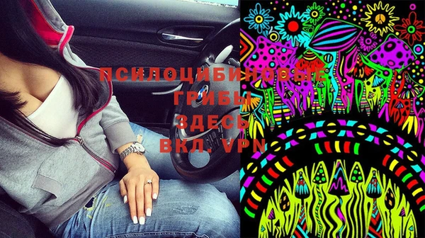 Альфа ПВП Алексеевка