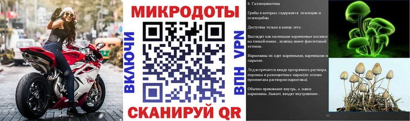 Псилоцибиновые грибы мухоморы  где найти наркотики  Владивосток 